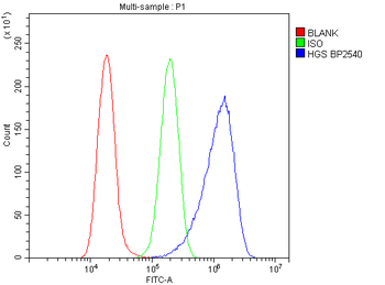 HGS Rabbit Polyclonal Antibody