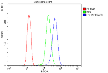 LDL Receptor/LDLR Rabbit Polyclonal Antibody