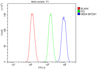 MBD4/MED1 Rabbit Polyclonal Antibody