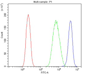E3 SUMO-protein ligase PIAS1 PIAS1/SUMO Rabbit Polyclonal Antibody