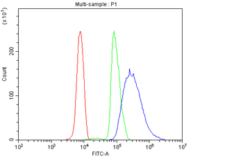 PIAS2 Rabbit Polyclonal Antibody