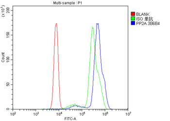 PP2A-alpha/PPP2CA/PP2A Mouse Monoclonal Antibody