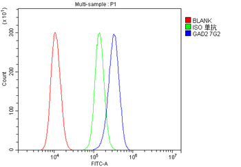 GAD65/GAD2 Mouse Monoclonal Antibody