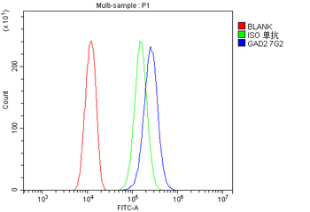 GAD65/GAD2 Mouse Monoclonal Antibody