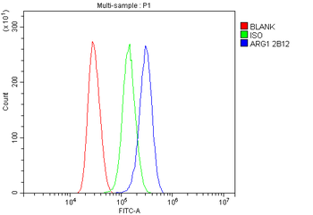 liver Arginase/ARG1 Mouse Monoclonal Antibody