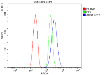 liver Arginase/ARG1 Mouse Monoclonal Antibody