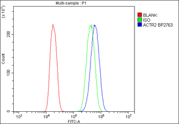 Arp2/ACTR2 Rabbit Polyclonal Antibody