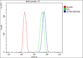 Arp3/ACTR3 Rabbit Polyclonal Antibody
