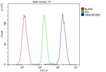 HP1 alpha/CBX5 Rabbit Polyclonal Antibody