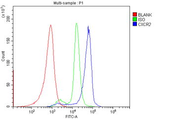 CXCR2 Rabbit Polyclonal Antibody