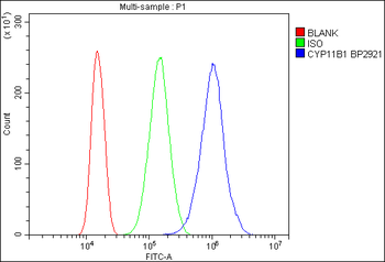 CYP11B1/C11B2/CYP11B2 Rabbit Polyclonal Antibody