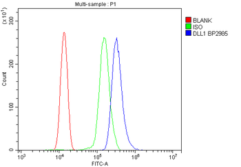 DLL1 Rabbit Polyclonal Antibody