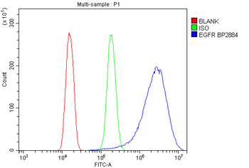 EGFR Rabbit Polyclonal Antibody