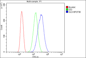 Glutaminase/GLS Rabbit Polyclonal Antibody