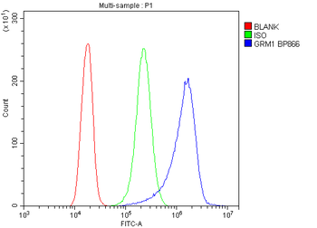 mGluR1/GRM1 Rabbit Polyclonal Antibody