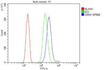 mGluR1/GRM1 Rabbit Polyclonal Antibody