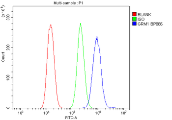 mGluR1/GRM1 Rabbit Polyclonal Antibody