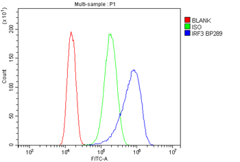 IRF3 Rabbit Polyclonal Antibody