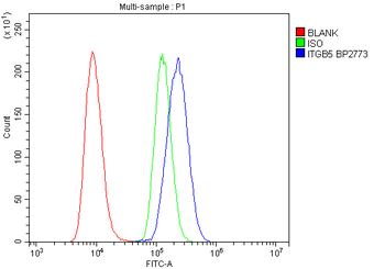 Integrin beta 5/ITGB5 Rabbit Polyclonal Antibody