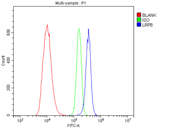 ApoER2/LRP8 Rabbit Polyclonal Antibody