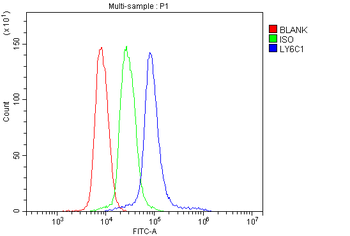 LY6C Rabbit Polyclonal Antibody