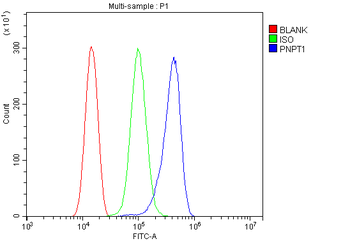 PNPT1 Rabbit Polyclonal Antibody