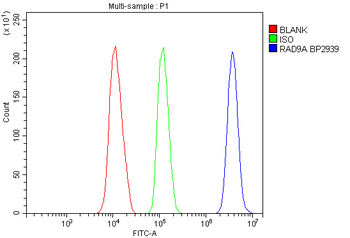 Rad9/Rad9a Rabbit Polyclonal Antibody