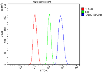 Rad17 Rabbit Polyclonal Antibody