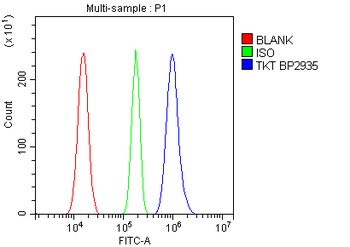 Transketolase/TKT Rabbit Polyclonal Antibody