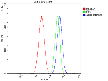 Alkaline phosphatase/ALPL Rabbit Polyclonal Antibody