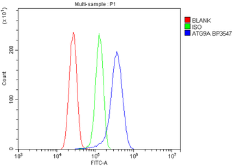 ATG9A Rabbit Polyclonal Antibody