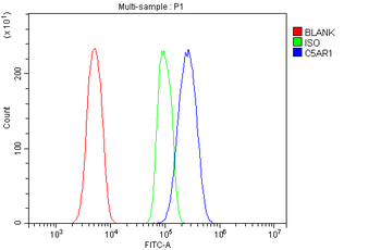 C5a-R/C5ar1 Rabbit Polyclonal Antibody