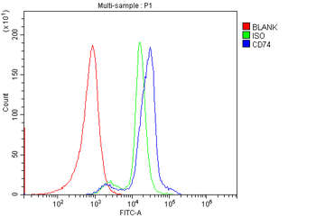 CD74 Rabbit Polyclonal Antibody