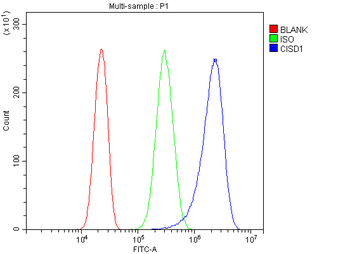 MitoNEET/CISD1 Rabbit Polyclonal Antibody