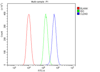 Claudin 3/CLDN3 Rabbit Polyclonal Antibody