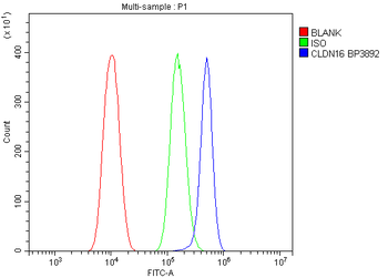 CLDN16/Claudin-16/16 Rabbit Polyclonal Antibody