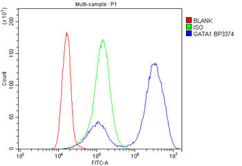 GATA1 Rabbit Polyclonal Antibody