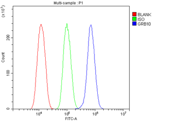 GRB10 Rabbit Polyclonal Antibody