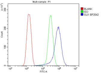 Lgi1/EPT/LGI1 Rabbit Polyclonal Antibody