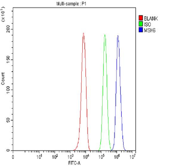 MSH6 Rabbit Polyclonal Antibody