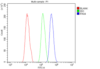 PAX4 Rabbit Polyclonal Antibody