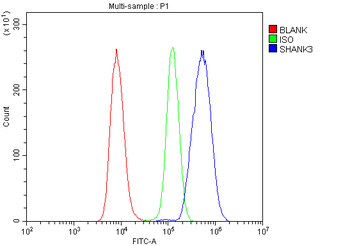 SHANK3 Rabbit Polyclonal Antibody
