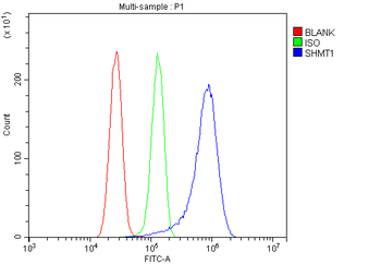 SHMT1 Rabbit Polyclonal Antibody