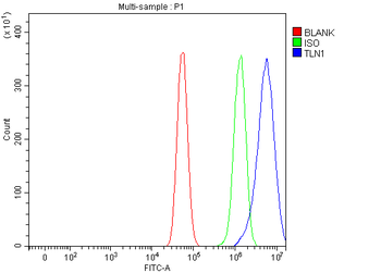 Talin 1/TLN1 Rabbit Polyclonal Antibody