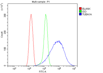 Tubulin alpha Rabbit Polyclonal Antibody