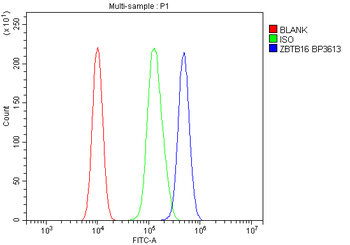 Plzf/ZBTB16 Rabbit Polyclonal Antibody