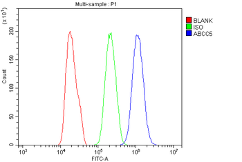MRP5/ABCC5 Rabbit Polyclonal Antibody