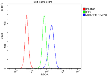 SBCAD/ACADSB Rabbit Polyclonal Antibody