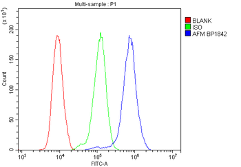 AFM Rabbit Polyclonal Antibody