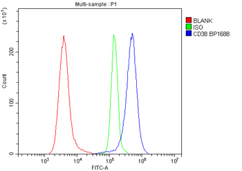 CD38 Rabbit Polyclonal Antibody